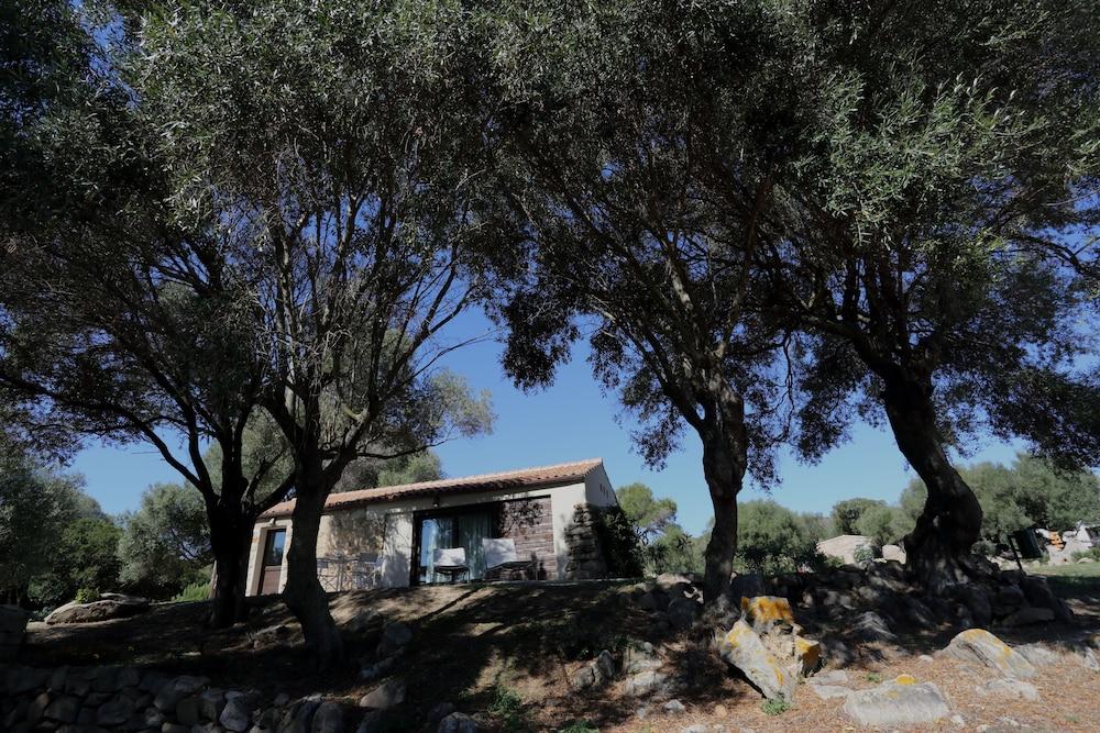 בית הארחה סנט אנטוניו די גאלורו 	Liscia Country Relais מראה חיצוני תמונה