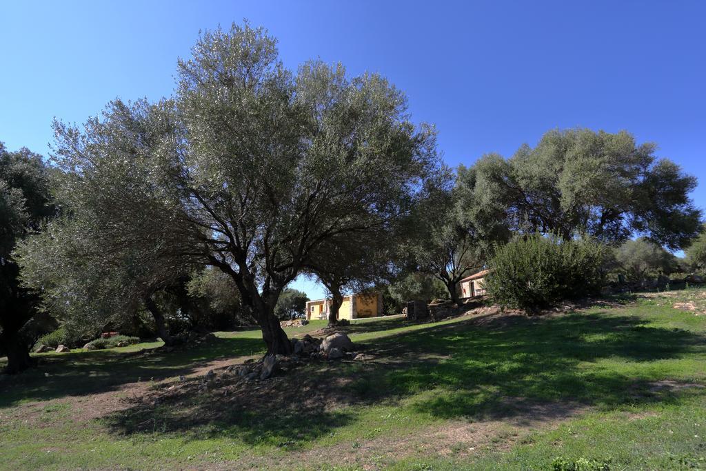 בית הארחה סנט אנטוניו די גאלורו 	Liscia Country Relais מראה חיצוני תמונה
