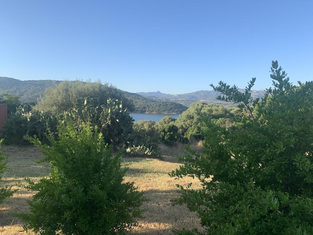בית הארחה סנט אנטוניו די גאלורו 	Liscia Country Relais מראה חיצוני תמונה