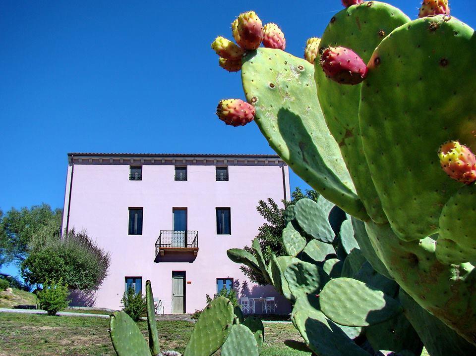 בית הארחה סנט אנטוניו די גאלורו 	Liscia Country Relais מראה חיצוני תמונה